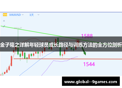 金子隆之详解年轻球员成长路径与训练方法的全方位剖析
