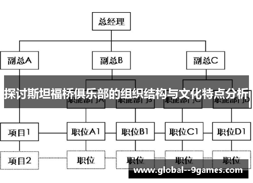 探讨斯坦福桥俱乐部的组织结构与文化特点分析